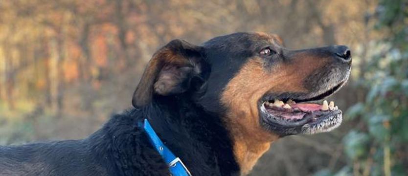 Edgar w (wielkim) formacie przytulania