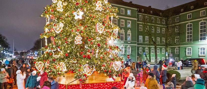 Nowa miejska choinka padła ofiarą złodzieja