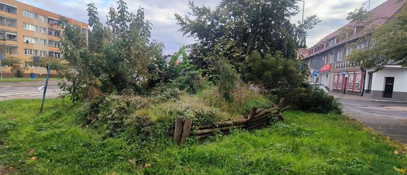 Ponad pół miliona na przemianę skweru w Policach. Po wycince drzew czeka na nowe zagospodarowanie
