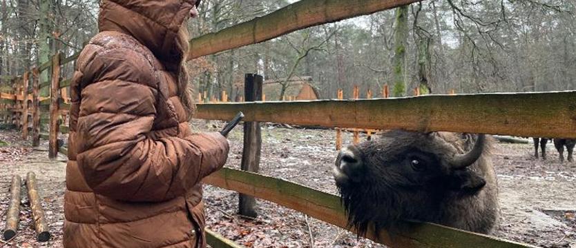 Pan Paweł wymyślił imię Pogodniakowi, teraz go poznał