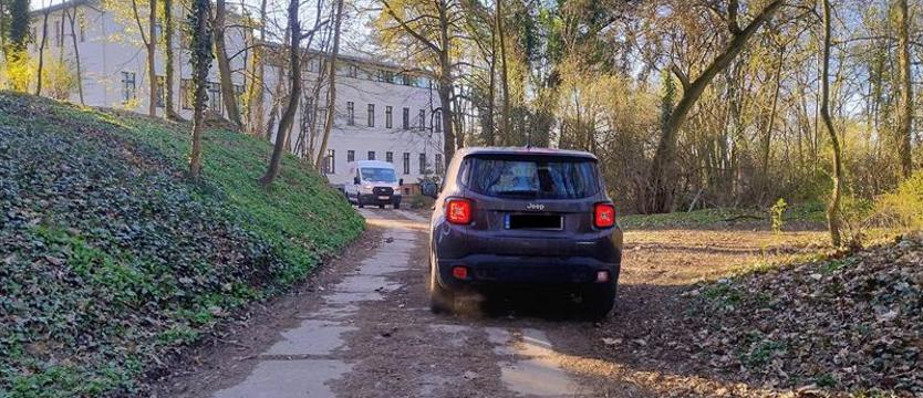 Rozjeżdżanie Chopina. Park - nie droga szybkiego ruchu