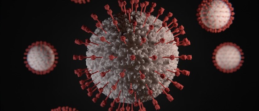 W czwartek niemal 25 tys. przypadków koronawirusa w kraju.  370 osób zmarło
