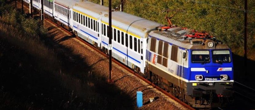 Zmiany w komunikacji pociągów na linii Szczecin - Słupsk. Drzewo na torach