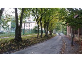 Nowy Szczecin: „Uratujmy drzewa na Broniewskiego”. W obronie zieleni
