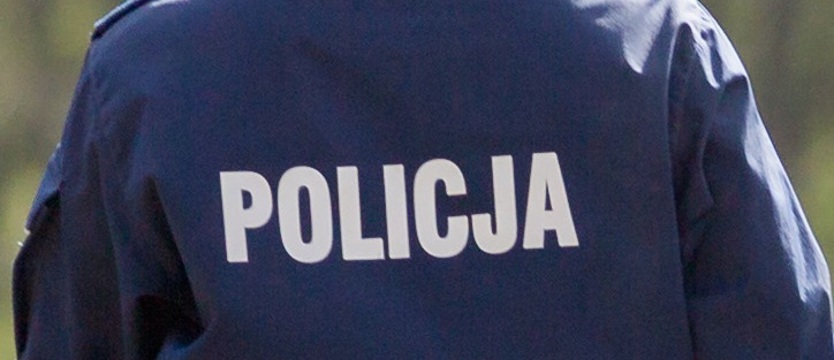 Zakatowali szczenięta i dorosłe psy