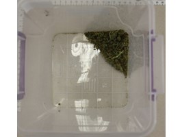 Narkotyki w pudełkach