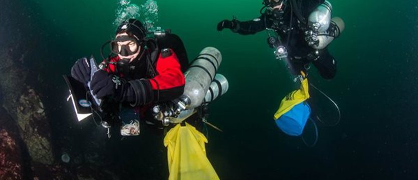 Poszukiwanie diabłów i rozgwiazd