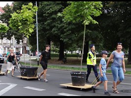 Parada drzew i święto ulicy. Zieleń dla ulic i duch zero waste