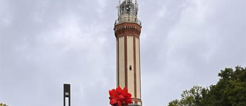 Co się dzieje? (13-16.08.2025)