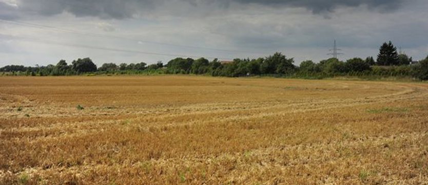 Hektary dla gospodarza. Ziemia w cenie