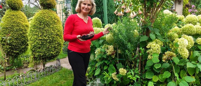 (kurier.kwiaty.05) Japońska „kometa” i całe morze kwiatów