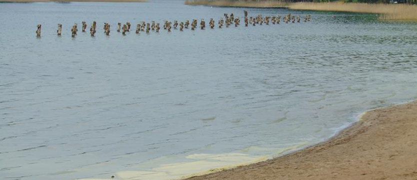 Pieniądze wyrzucone w błoto. Zniknęło molo w Ińsku