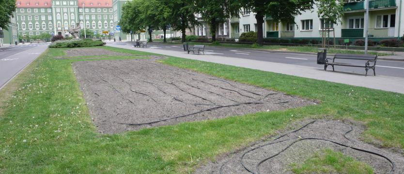 Kwiaty na rabaty, w sporym poślizgu