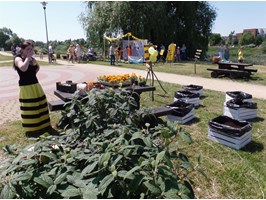 W KURIERZE: Petycja (nie tylko) dla pszczół