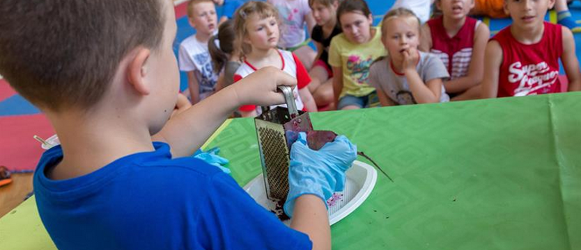 Pałacowy nabór na wakacje