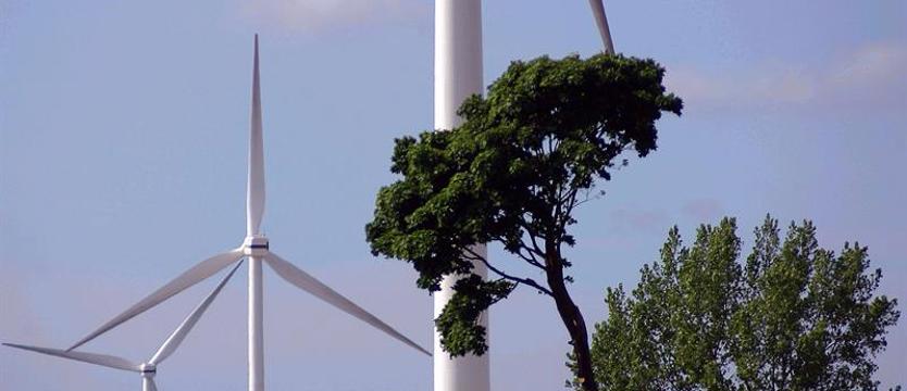 Porażeni ceną prądu. Rząd rozmraża energię