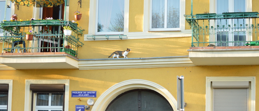 Parapetówa u sąsiada