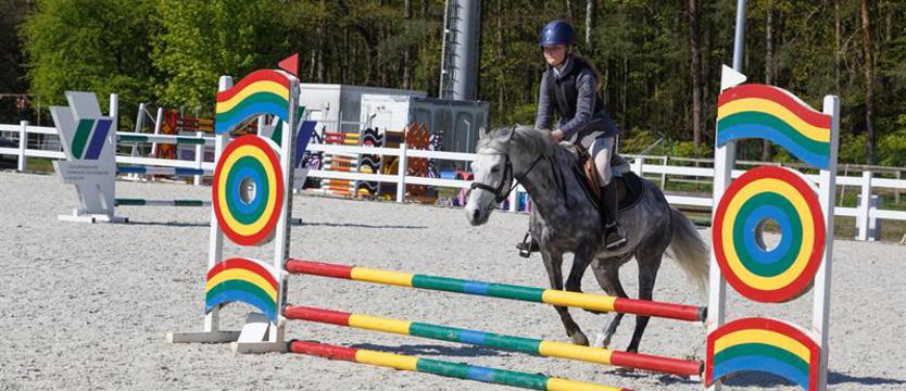 Zabawa i pomaganie w stajni ZUT