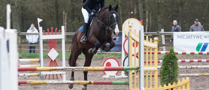 Jeździectwo. Sedina Horse Show