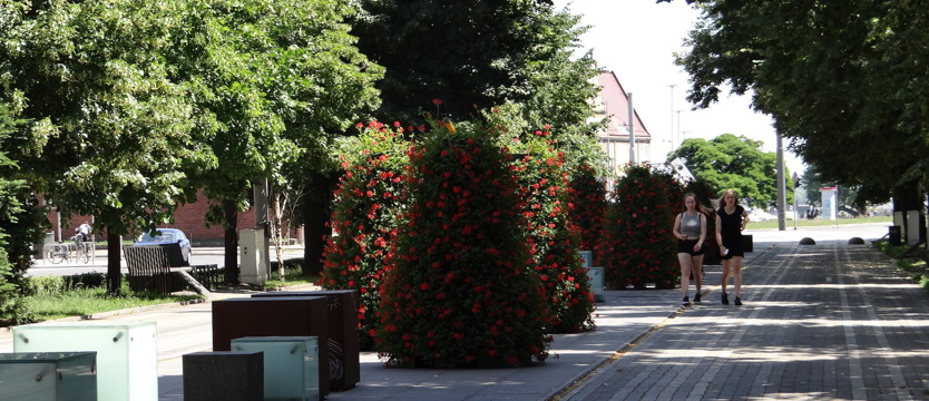 Urodziny Szczecina w alei Kwiatowej