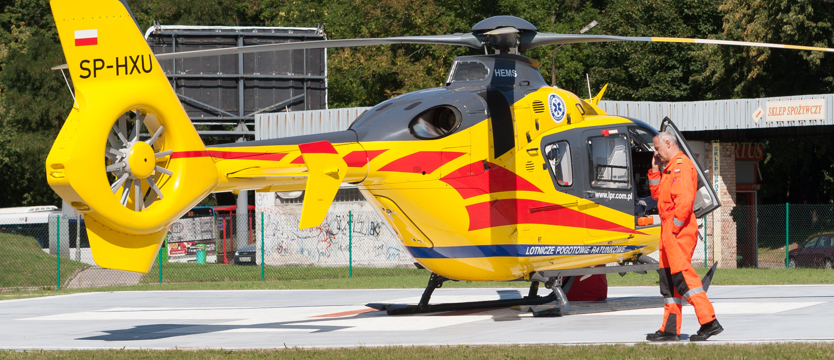 Drzewo na samochodzie