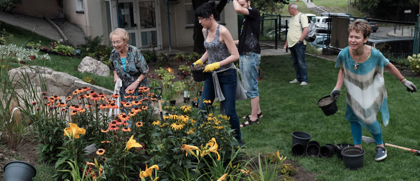 Otwarto kolejny miejski ogród