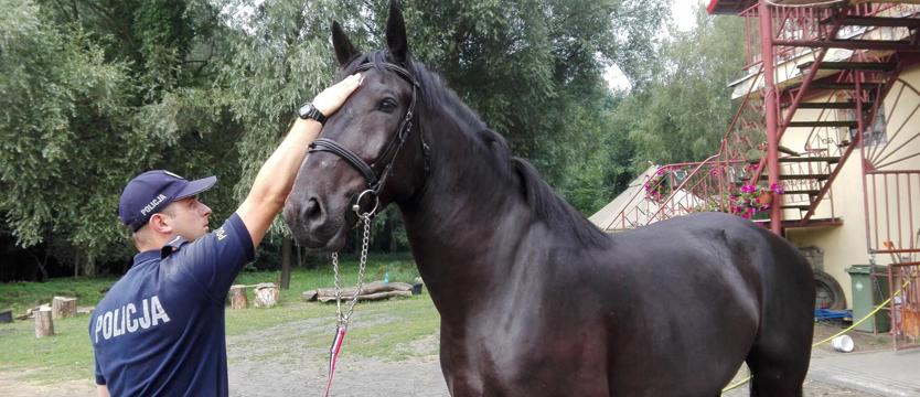 Karmel na straży prawa