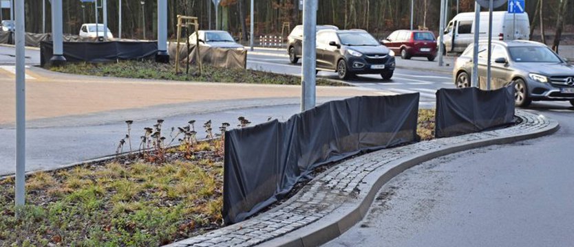 Węzeł Głębokie. Zabezpieczyli rośliny na zimę