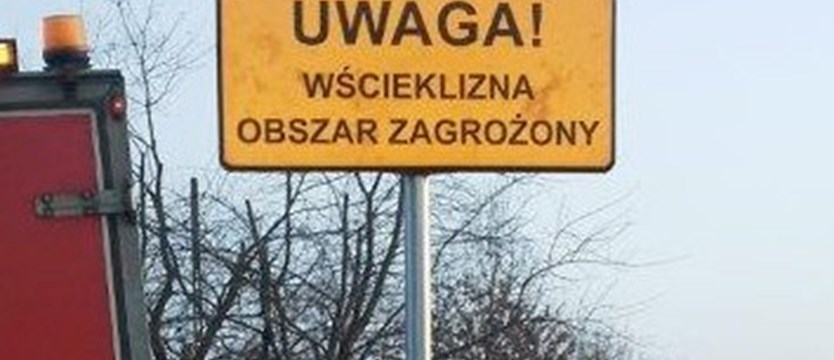 Wścieklizna w Szczecinie