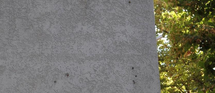 Pół żartem, a serio?