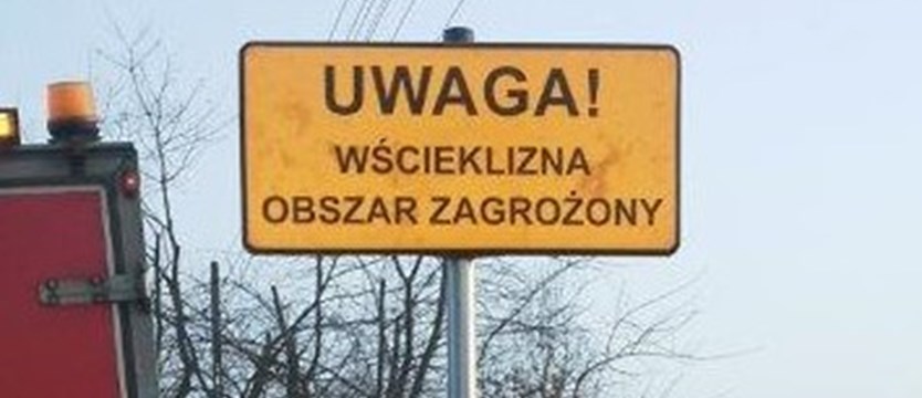 Znowu wścieklizna w Szczecinie!