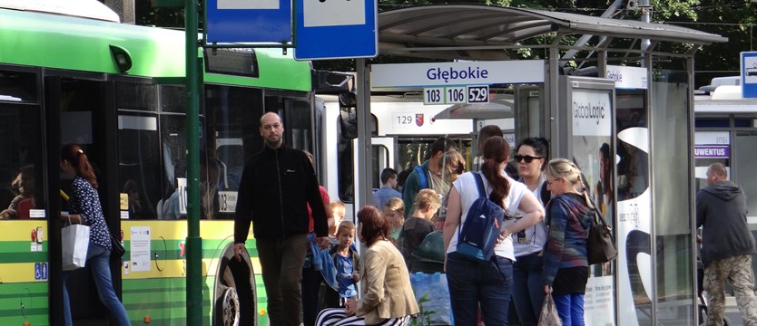 Zmiany na liniach autobusów w Policach
