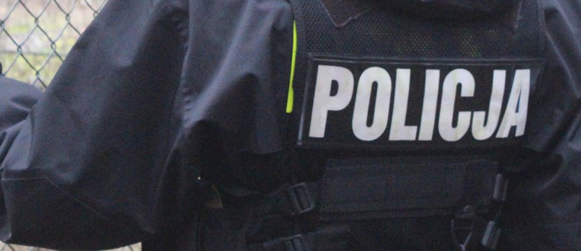 Polscy policjanci pilnują granicy Węgier