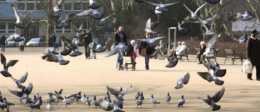 Kiedy państwo jest wyręczone przez swoich obywateli