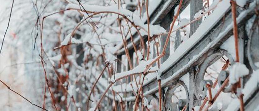 Ostrzeżenie przed kolejną falą mrozu. W nocy do minus 29 st. C