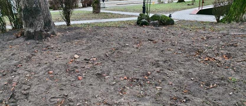 Czekają na uporządkowanie terenu przy Chrobrego