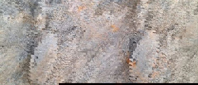 Niewybuch w Dąbiu już usunięty