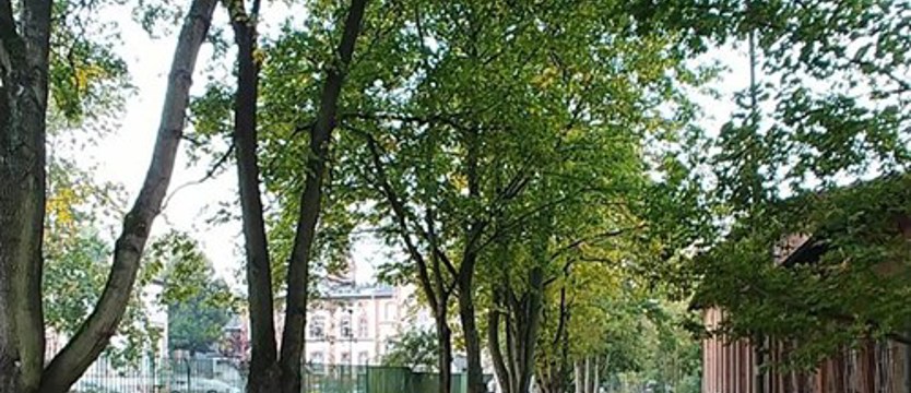 Zieleń przy ulicy Broniewskiego zostaje