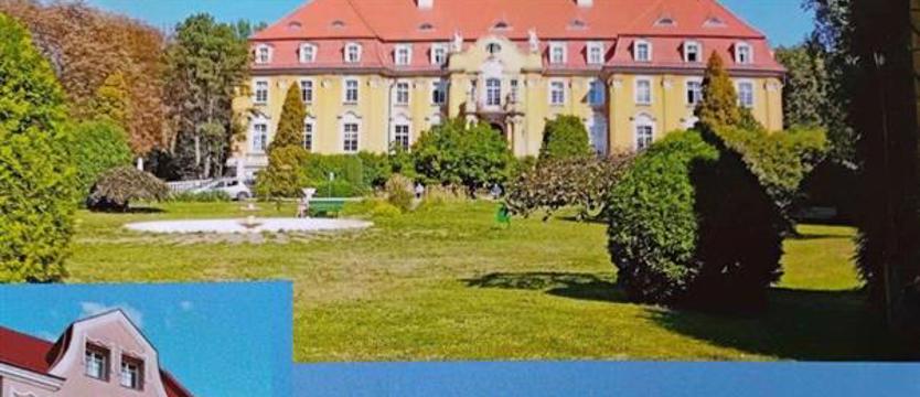 Z wędrówek profesora T. Białeckiego. Od Gryfina i Chojny po macierzysty Lubliniec
