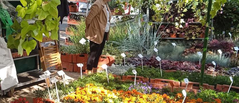 Pamiętajcie o ogrodach. Wielki kiermasz – fantastyczny jubileusz już w ten weekend