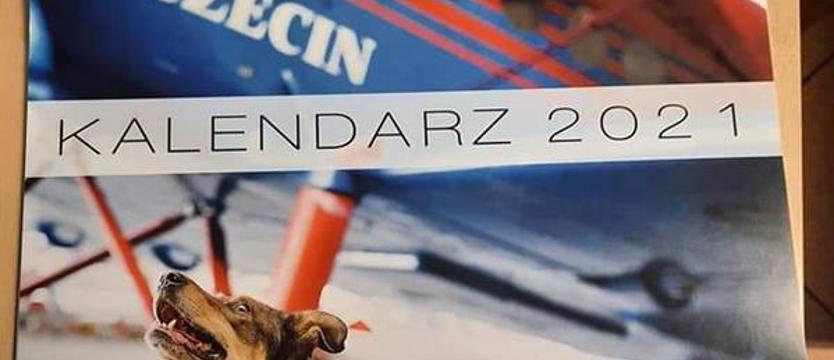 Nadziei dwanaście kart