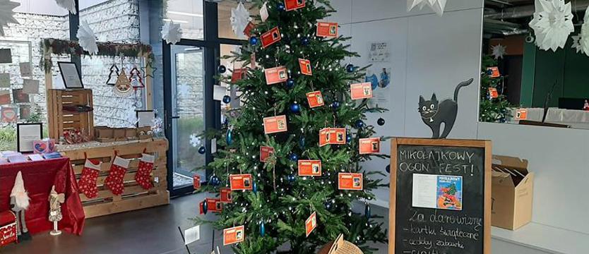 Cztery łapy i kartki do M. Psy, koty i marzenia do spełnienia