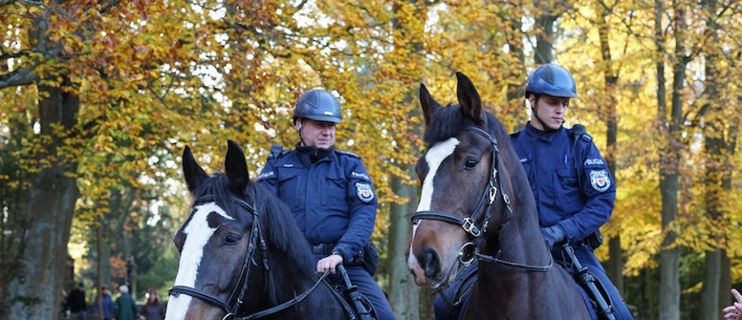 Bezpieczeństwo w trakcie Wszystkich Świętych