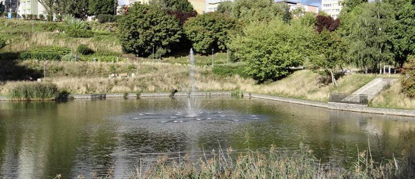 Wyrusz w zieleń. Ścieżkami wśród jesionów wyniosłych i złotokapów