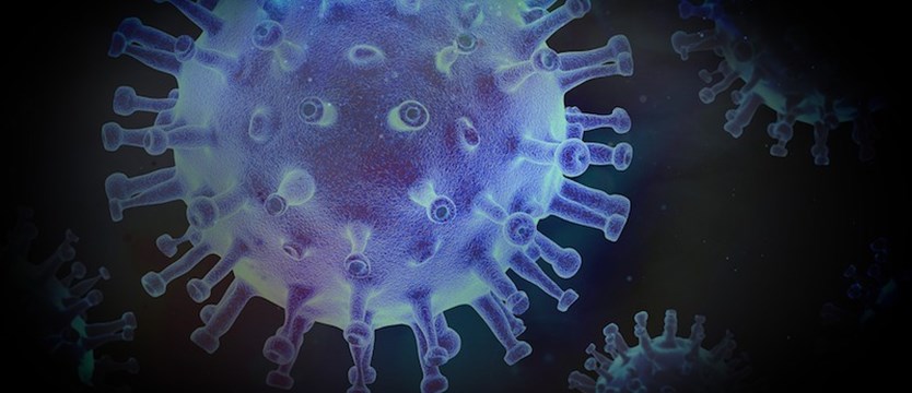 W kraju ponad 8 tys. przypadków koronawirusa. Zmarło 411 osób