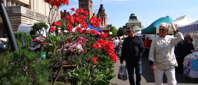W weekend na Wałach Chrobrego. Pamiętajcie o ogrodach