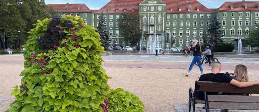 AI w szczecińskim magistracie. Prawie 100 tys. zł za miejskiego asystenta