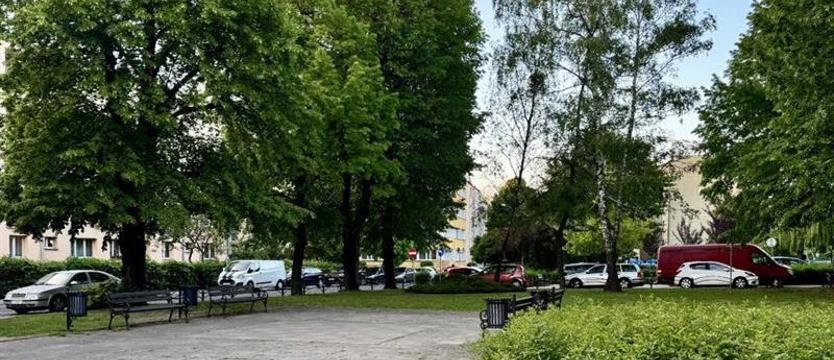 Dąbie – szereg zielonych inwestycji. Trzy łuki w park