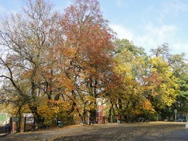 Miasto się mieni kolorami jesieni