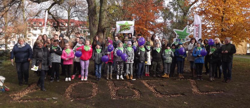 Krokusowe fascynacje w Łobzie